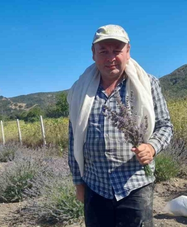 Babasından kalan tarlasına lavanta ekti, yüzde 90 verim aldı