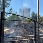 Bahçelievler’de otluk alanda yangın çıktı