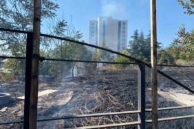 Bahçelievler’de otluk alanda yangın çıktı