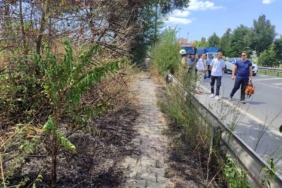 Bakırköy’de E5 kenarında korkutan yangın