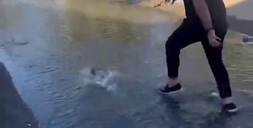 Balığı metrelerce kovaladılar: Videoyu çeken kişi kahkahaya boğuldu