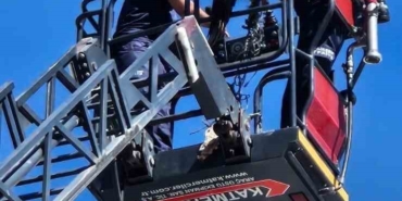 Balıkesir Büyükşehir, yaralı leyleği kurtardı