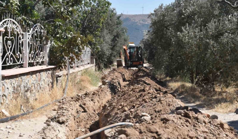 Balıkesir’de, 80 bin zeytin ağacı suyla buluştu