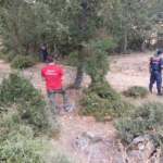 Balıkesir’de kaybolan kadın ortaya çıktı: Kendi isteğiyle saklanmış