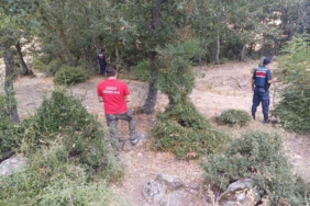 Balıkesir’de kaybolan kadın ortaya çıktı: Kendi isteğiyle saklanmış