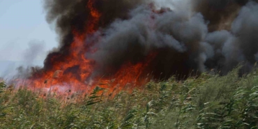 Balıkesir’de kuşların göç yolundaki sazlık alanda yangın