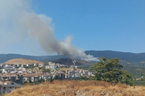 Balıkesir’de orman yangını