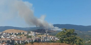 Balıkesir’de orman yangını