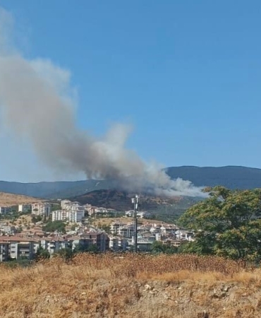 Balıkesir’de orman yangını