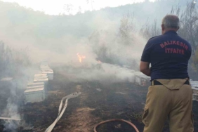 Balıkesir’de orman yangınına giden ekiplere arılar saldırdı