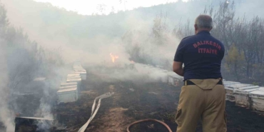 Balıkesir’de orman yangınına giden ekiplere arılar saldırdı