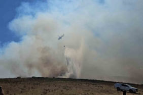 Balıkesir’de otluk alanda çıkan yangın söndürüldü