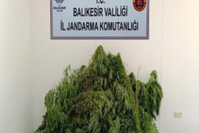 Balıkesir’de uyuşturucu operasyonu, 2 şüpheli yakalandı