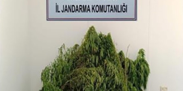 Balıkesir’de uyuşturucu operasyonu, 2 şüpheli yakalandı