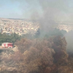 Balıkesir’in Çamlık mevkiinde çıkan arazi yangını söndürüldü