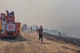 Bandırma’da otluk alanda yangın çıktı