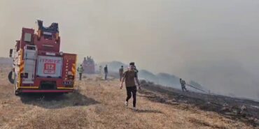 Bandırma’da otluk alanda yangın çıktı