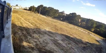 Başıboş sokak köpekleri cins köpeği parçaladı