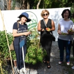 Beşiktaş’ta Konaklar Bostanı ilk mahsullerini vermeye başladı