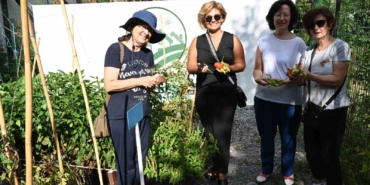 Beşiktaş’ta Konaklar Bostanı ilk mahsullerini vermeye başladı