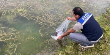 Bilecik’te 14 farklı göle 134 bin 500 adet sazan balığı yavrusu bırakıldı