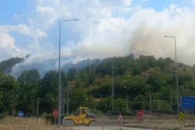 Bilecik’te çıkan otluk yangını kontrol altına alındı