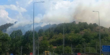 Bilecik’te çıkan otluk yangını kontrol altına alındı