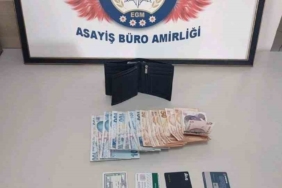 Bilecik’te dolmuşta yaşanan hırsızlık olayını güvenlik kamerası açığa çıkardı