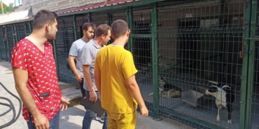 Bilecik’te hayvan barınaklarında denetimler yapıldı