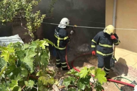 Bilecik’te kömürlük yangını