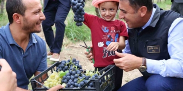 Bilecik’te üzüm hasadı başladı