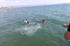 Boğulma tehlikesi geçiren çocuğu Sahil Güvenlik kurtardı