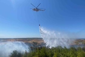 Bozcaada’da ziraat alanında başlayan yangın ormanlık alana sıçradı