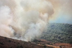 Bozcaada’da ziraat alanında yangın