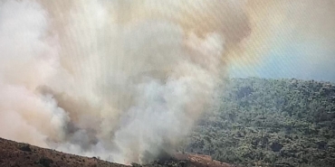 Bozcaada’da ziraat alanında yangın
