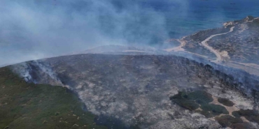 Bozcaada’daki orman yangını dron ile görüntülendi