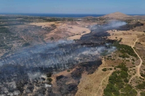 Bozcaada’daki orman yangını kontrol altına alındı