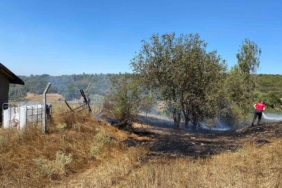 Bozüyük’te çıkan anız yangını büyümeden söndürüldü