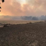 Bulgaristan sınırında çıkan yangın Edirne’nin köylerine ilerliyor