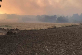 Bulgaristan sınırında çıkan yangın Edirne’nin köylerine ilerliyor