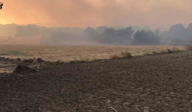 Bulgaristan sınırında çıkan yangın Edirne’nin köylerine ilerliyor