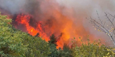 Bursa İznik’teki orman yangınında 30 hektar alan küle döndü