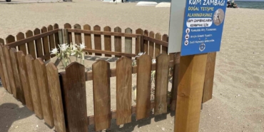 Bursa sahillerinde görülen ‘kum zambakları’ koruma altında