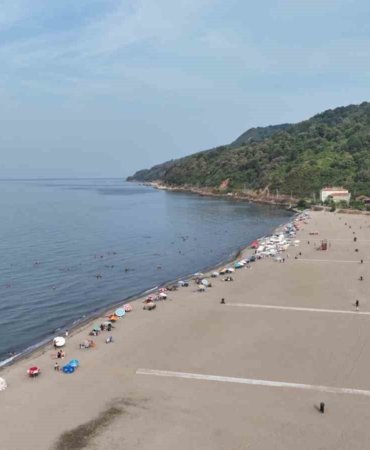 Bursa sahillerinden sevindiren haber