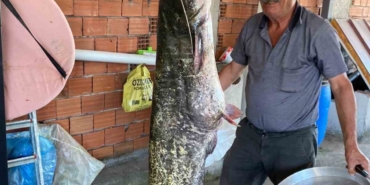 Bursa’da barajda 87 kilogramlık balık yakalandı