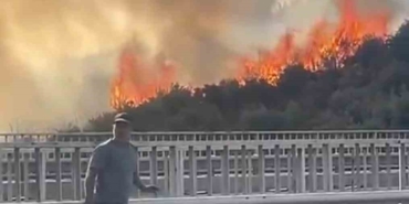 Bursa’da barakadan çıkan yangın zeytinlik alana sıçradı