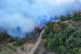 Bursa’da çıkan orman yangını 12 saat sonra kontrol altına alındı