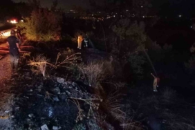 Bursa’da korkutan orman yangını