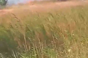 Bursa’da korkutan yangın