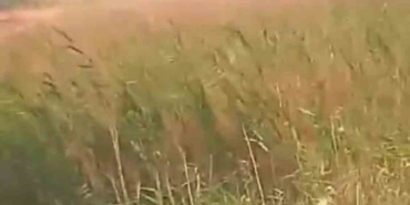 Bursa’da korkutan yangın